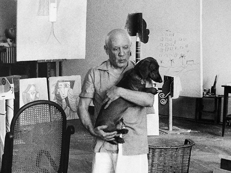 Пикассо подарил таксе Лумпу собственную тарелку с портретом