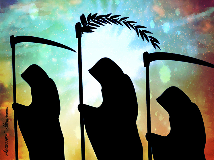 Коллекционер жизни