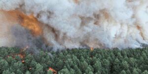 Франция охвачена пожарами: под Парижем горит лес Фонтенбло, празднование Дня взятия Бастилии под угрозой срыва»>